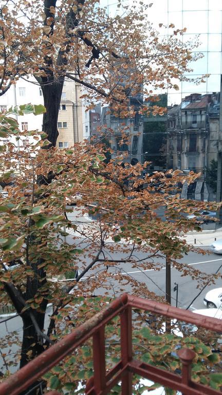 Lorena Apart Old Town Boekarest Buitenkant foto